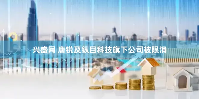 兴盛网 唐锐及纵目科技旗下公司被限消