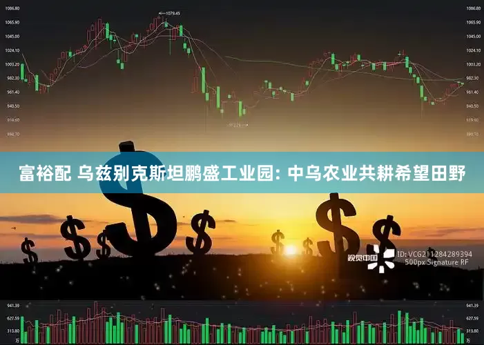 富裕配 乌兹别克斯坦鹏盛工业园: 中乌农业共耕希望田野