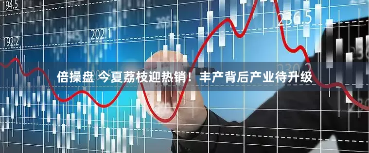 倍操盘 今夏荔枝迎热销！丰产背后产业待升级