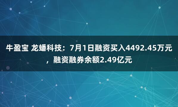 牛盈宝 龙蟠科技：7月1日融资买入4492.45万元，融资融券余额2.49亿元