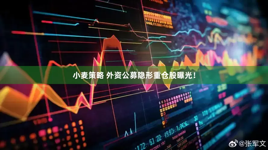 小麦策略 外资公募隐形重仓股曝光！