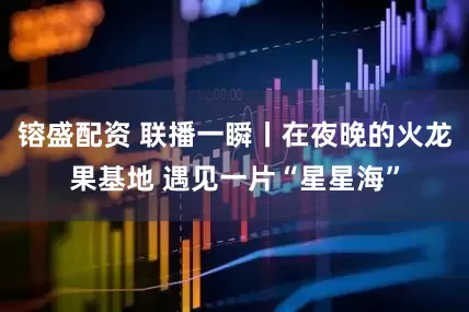 镕盛配资 联播一瞬丨在夜晚的火龙果基地 遇见一片“星星海”